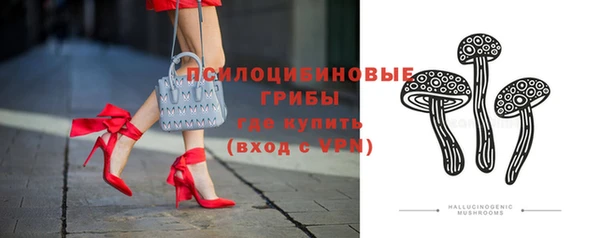 мдпв Белокуриха