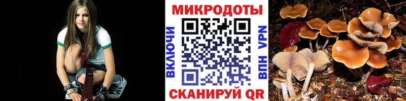где продают наркотики Окуловка Галлюциногенные грибы ЛСД